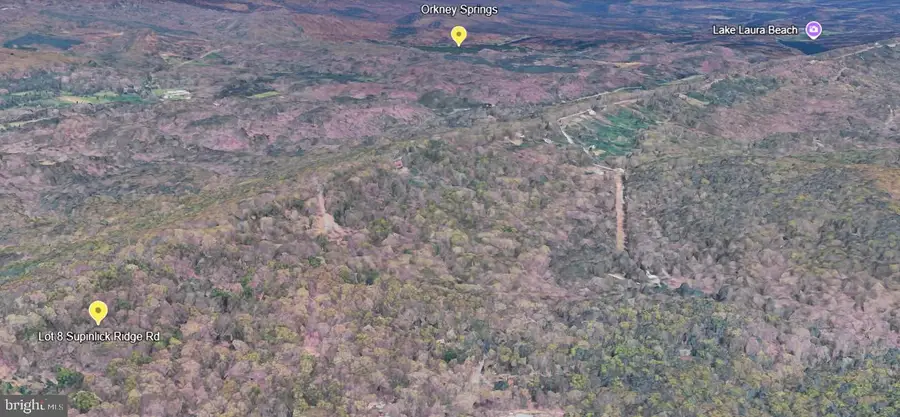 Lot 8 Supinlick Ridge S, Mount Jackson, VA 22842 - #2