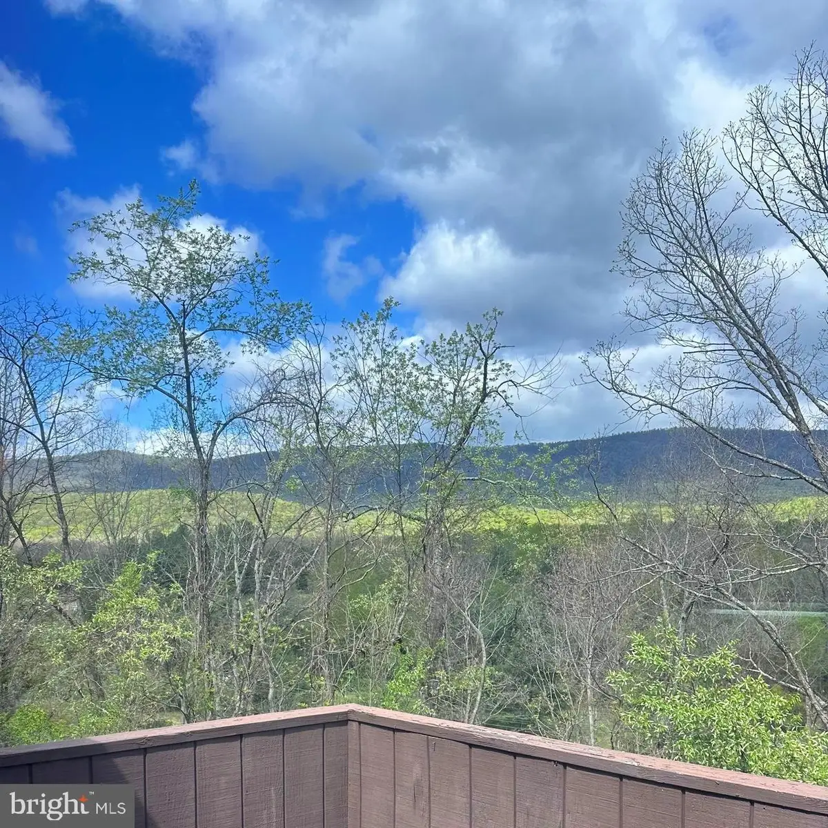 274 The Hill #13-c, Basye, VA 22810 - #1