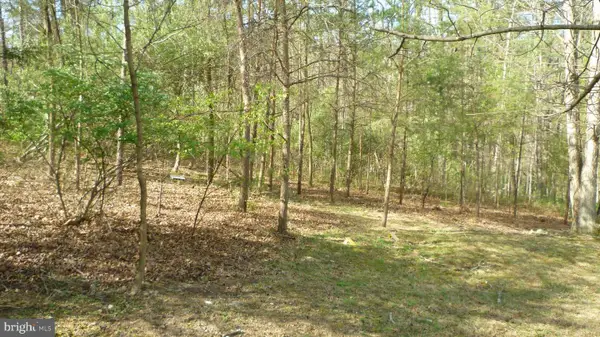 Lot 187 Sandpiper Dr., BASYE, VA 22810