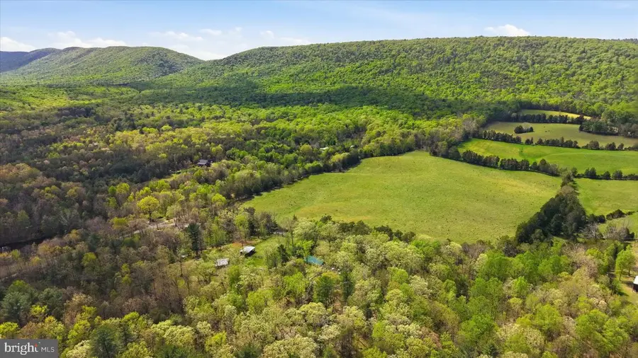 482 Boyer Rd, Fort Valley, VA 22652 - #3