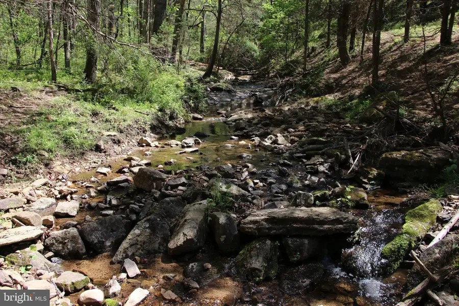 Cold Spring Hollow Ln, Fort Valley, VA 22652 - #3