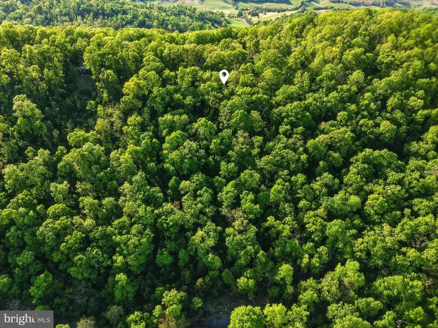 816 Hilltop Ln, Mount Jackson, VA 22842 - #3