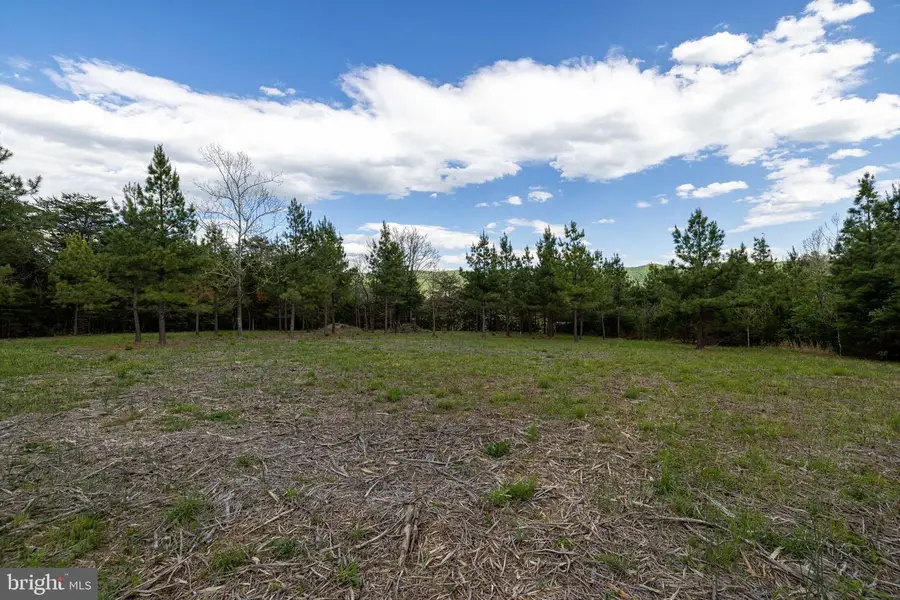 Boliver Rd, Fort Valley, VA 22652 - #3