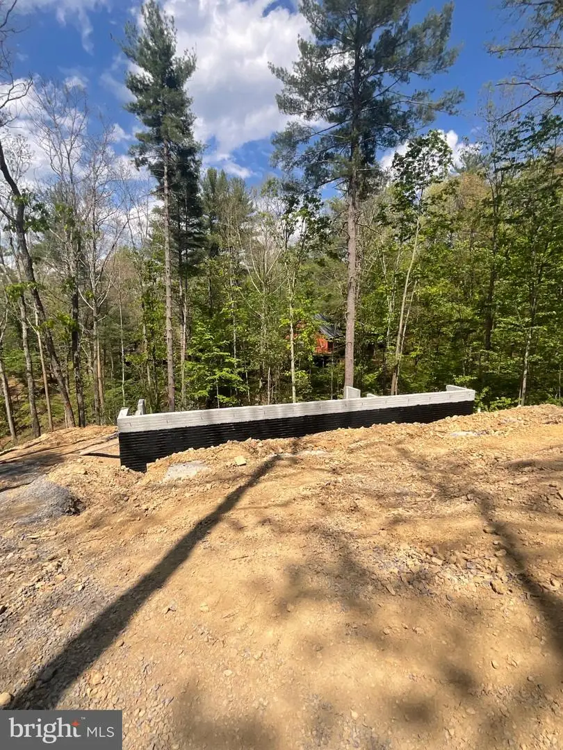 Tbd Lark Ct, Basye, VA 22810 - #2