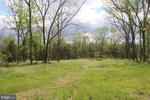 Ridge Hollow Rd, EDINBURG, VA 22824