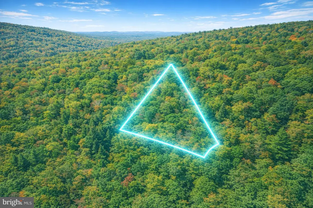 Lot 168 Forest Ridge Trail, Fort Valley, VA 22652 - #1