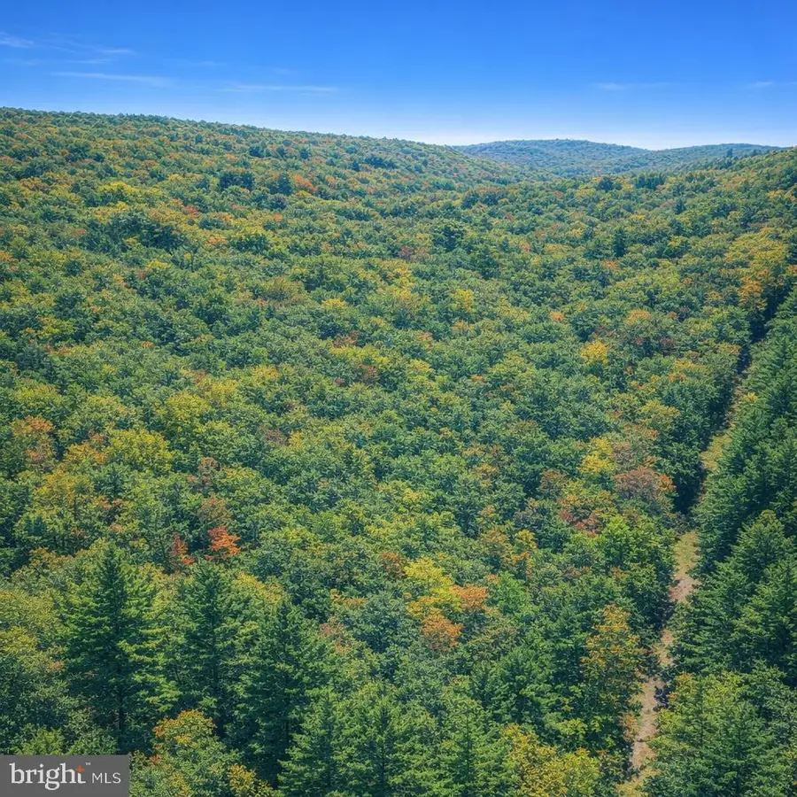 Lot 169 Forest Ridge Trail, Fort Valley, VA 22652 - #2