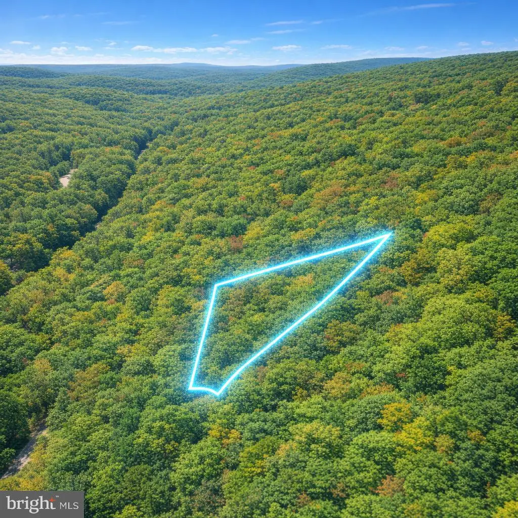 Lot 170 Forest Ridge Trail, Fort Valley, VA 22652 - #1