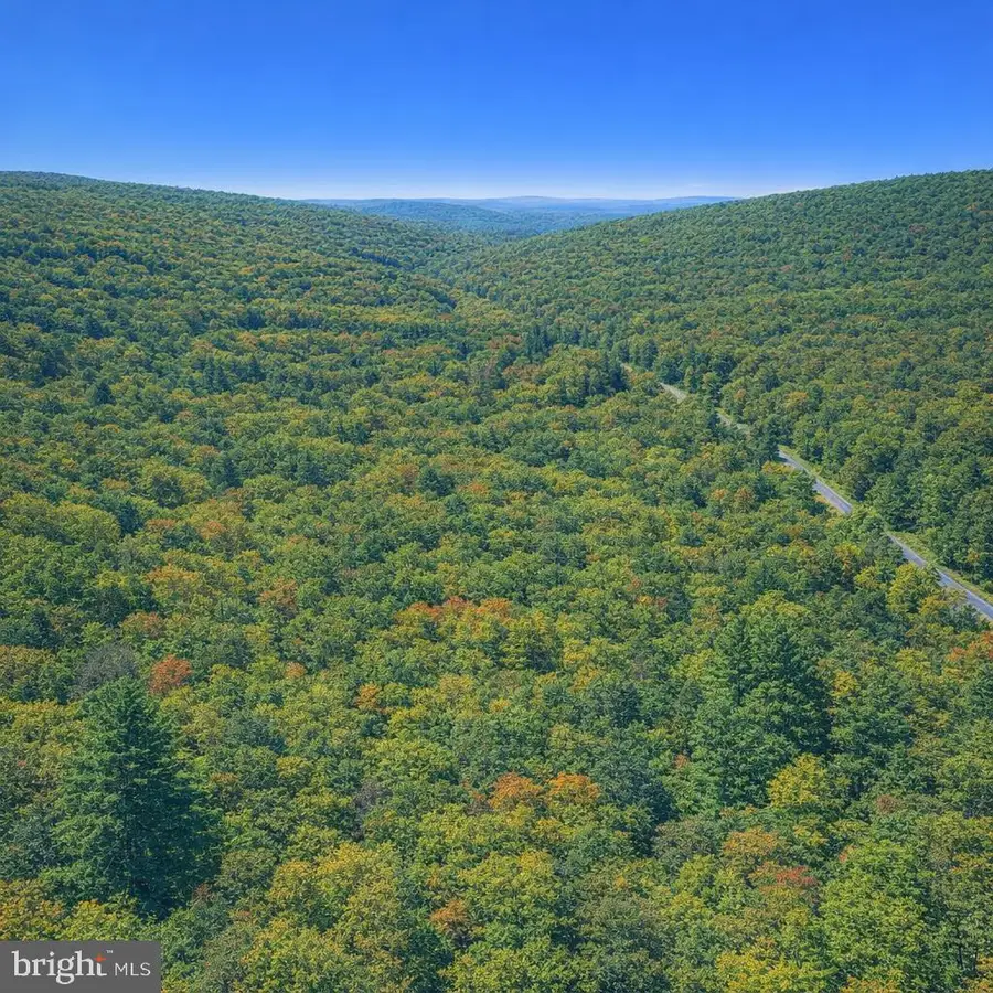 Lot 170 Forest Ridge Trail, Fort Valley, VA 22652 - #3
