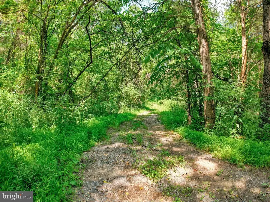 Many Waters Lane Ln, Fort Valley, VA 22652 - #2