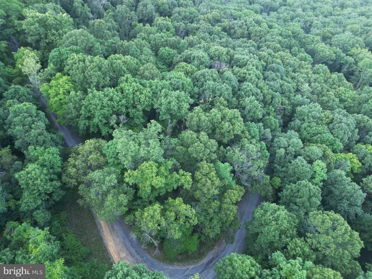 Tbd Rolly Rd, Mount Jackson, VA 22842 - #1
