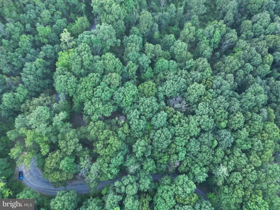 Tbd Rolly Rd, Mount Jackson, VA 22842 - #3