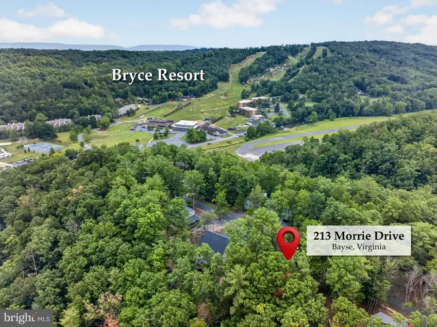 213 Morrie Dr, Basye, VA 22810 - #3