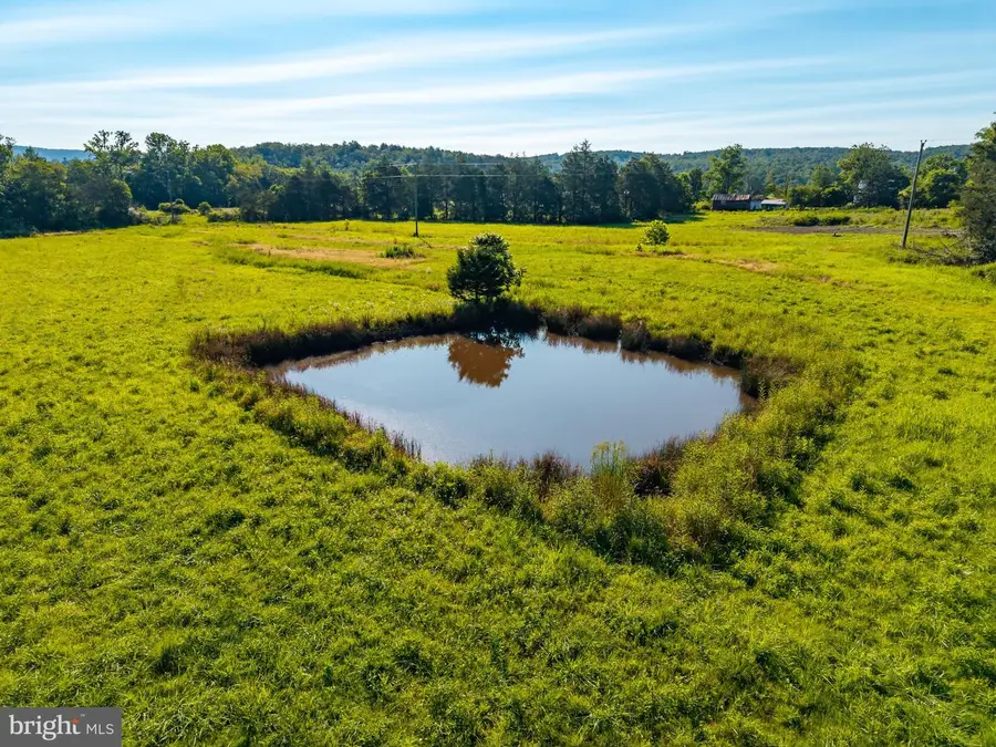 Alum Spring Rd. Parcel C, Edinburg, VA 22824 - #3