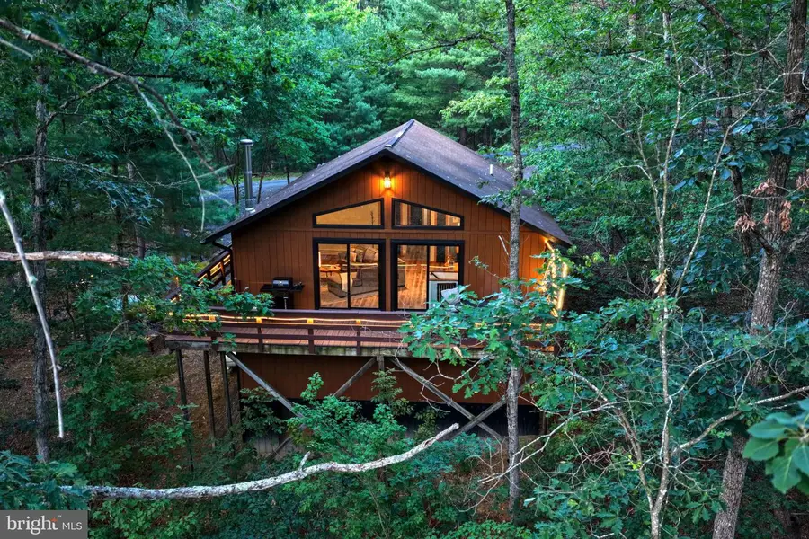 43 Mink Ct, Basye, VA 22810 - #2