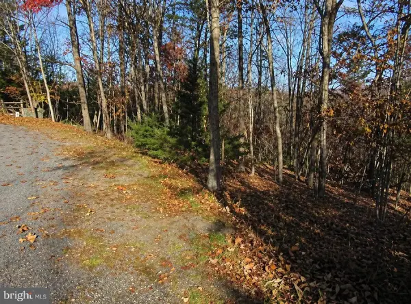 0 Brian Dr, BASYE, VA 22810