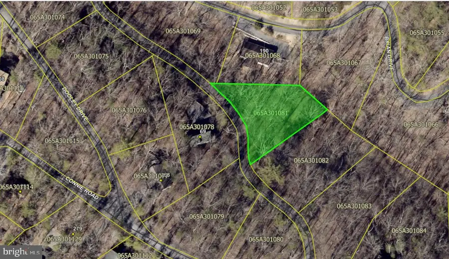 0 Brian Dr, Basye, VA 22810 - #3