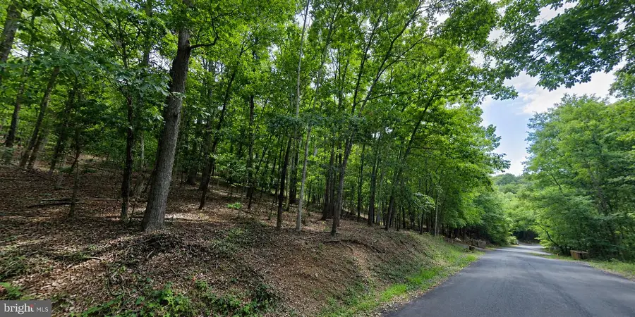 Lot 11 Fairway Dr, Basye, VA 22810 - #3