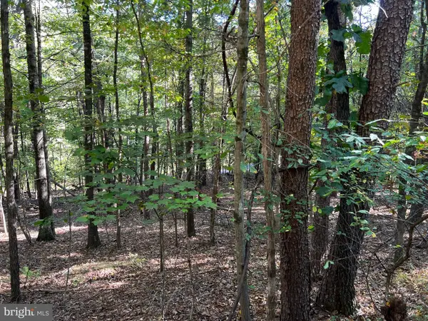 0 Hemlock St, MT JACKSON, VA 22842