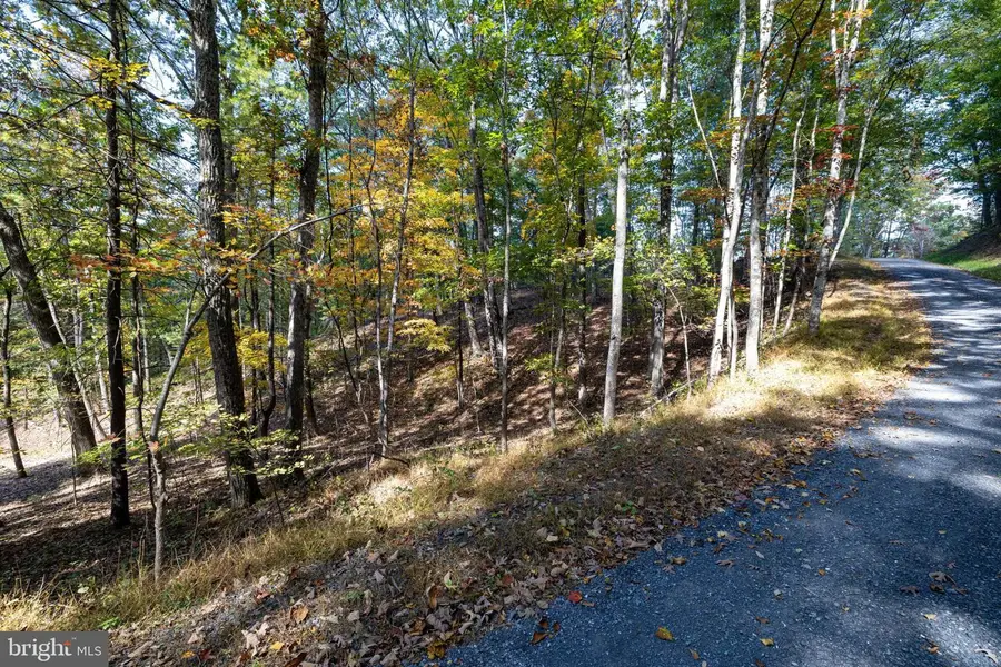 Lot 330 Dawn Dr, Basye, VA 22810 - #3