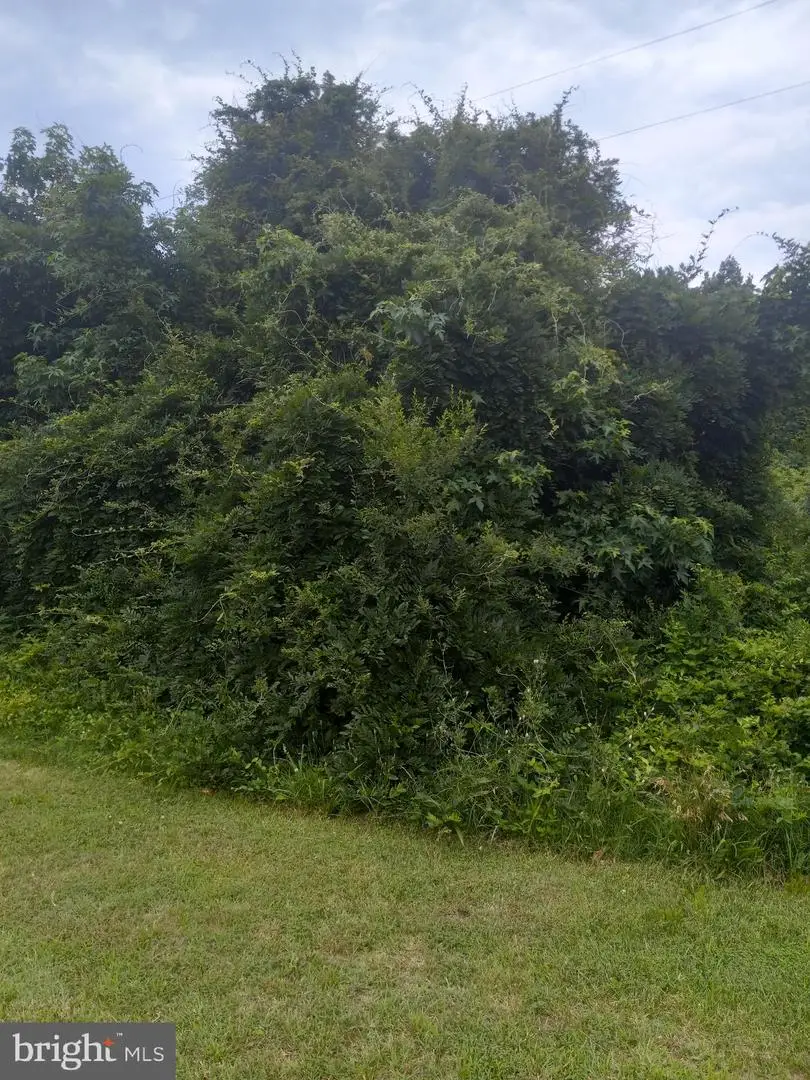 0 Lewis Estates Lane - Lot 5, Spotsylvania, VA 22551 - #2