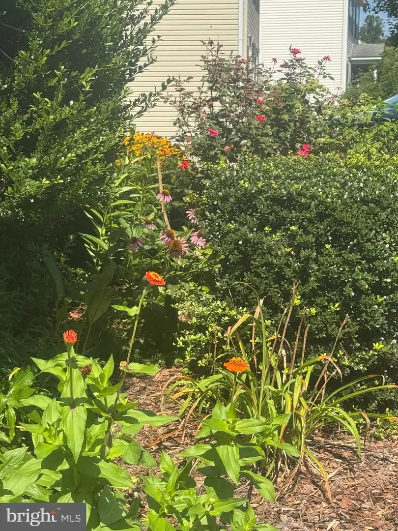 6930 Versaille Dr, Fredericksburg, VA 22407 - Image #3