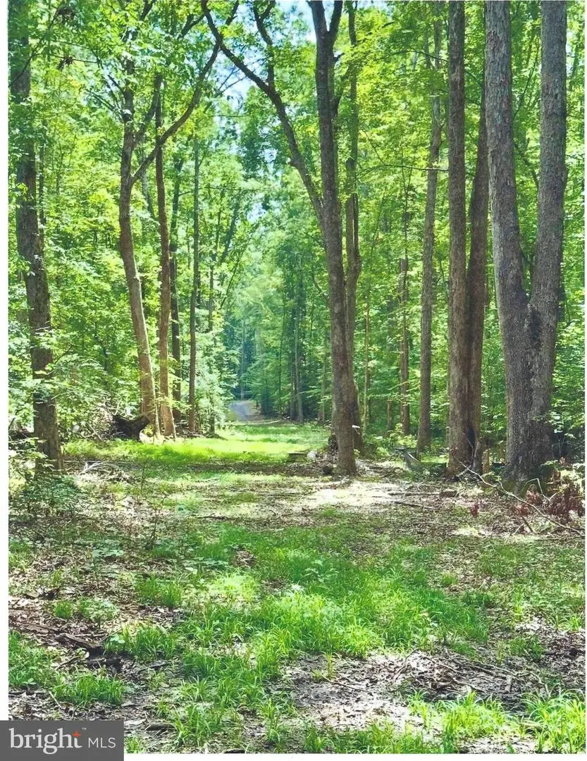 14409 Spotswood Furnace Rd, Fredericksburg, VA 22407 - Image #2