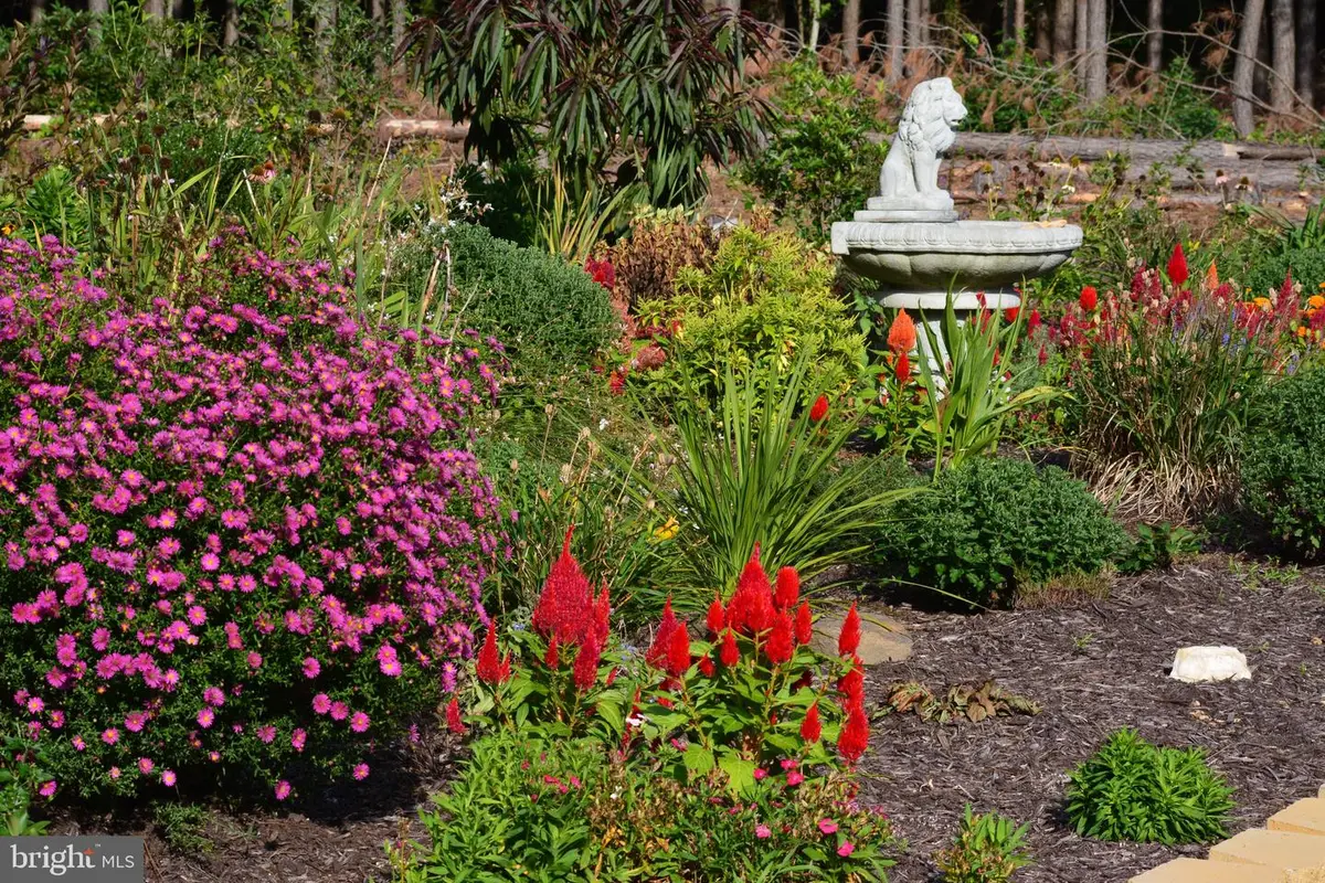 10041 Tarrington Way, Spotsylvania, VA 22551 - Image #1