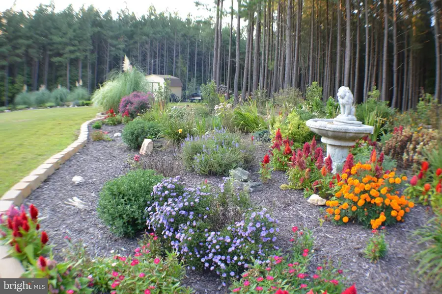 10041 Tarrington Way, Spotsylvania, VA 22551 - Image #3