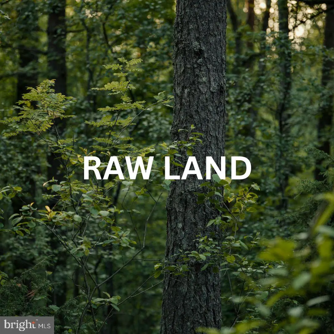 6200 Bills Rd, Mineral, VA 23117 - #1