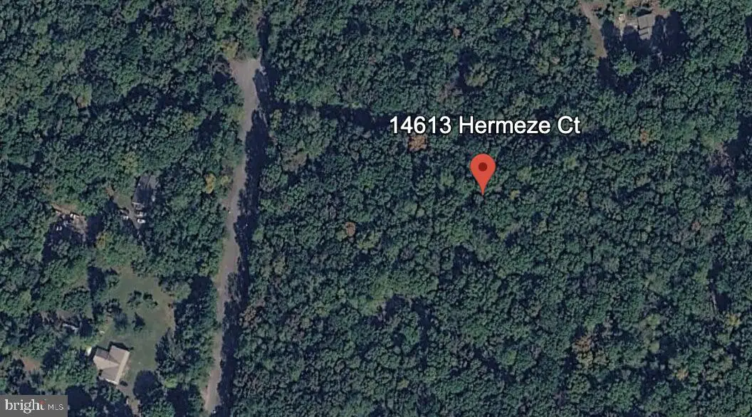 14613 Hermeze Ct, Fredericksburg, VA 22407 - #1