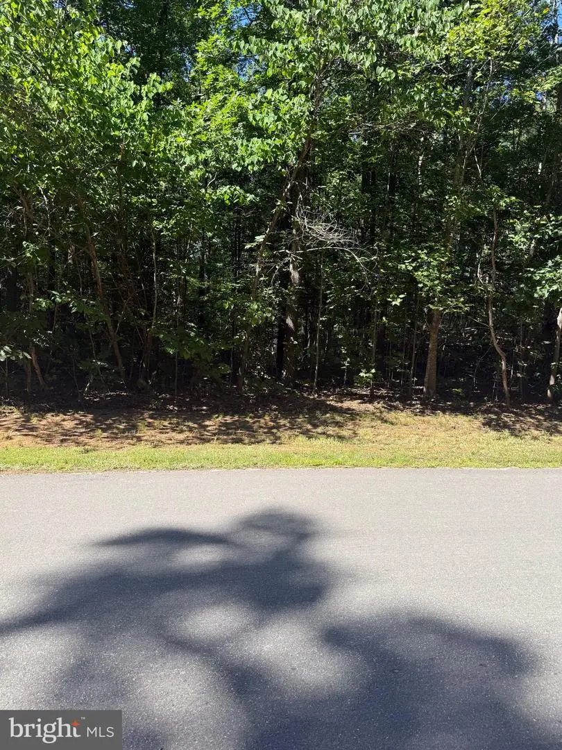6715 Water View Ln, Mineral, VA 23117 - #3