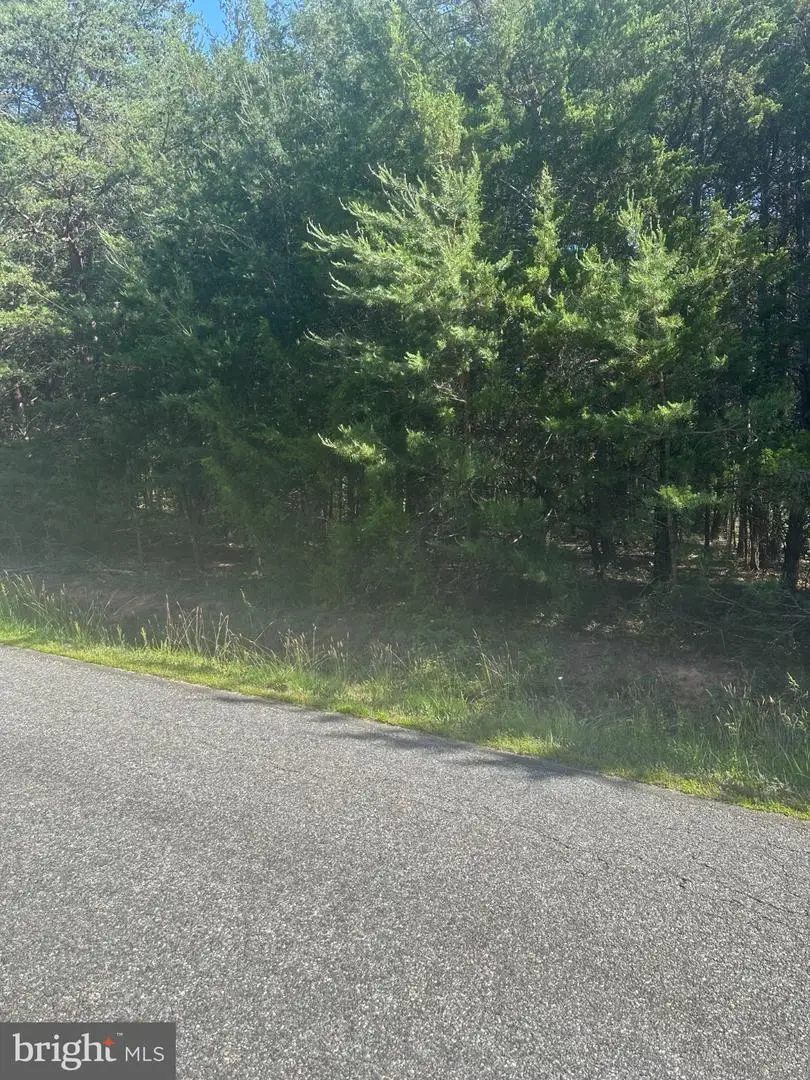 13615 Black Meadow Rd, Spotsylvania, VA 22553 - #2