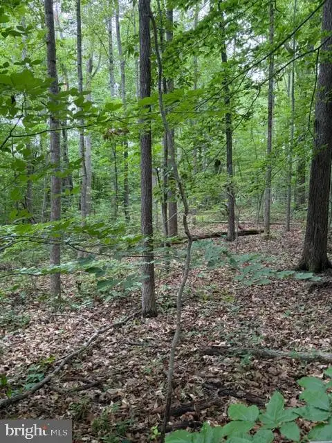 15413 Drummers Ln, Orange, VA 22960 - #1