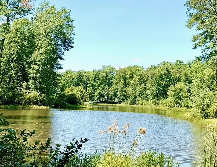 12308 Catharines Furnace Ct, Spotsylvania, VA 22553 - #2