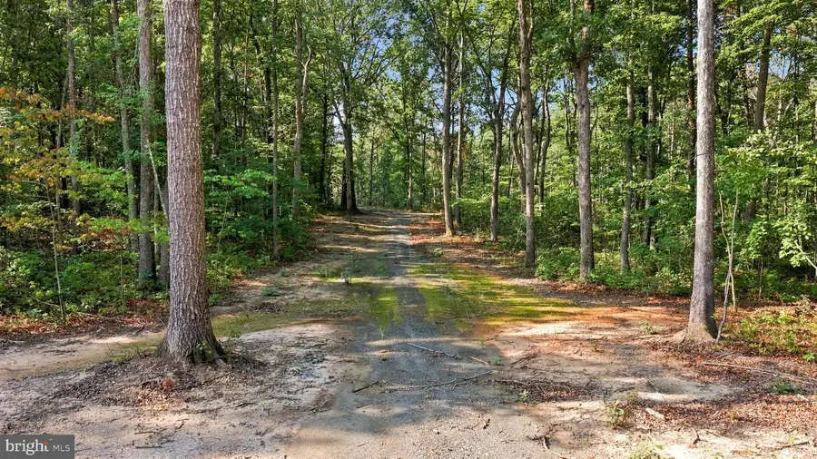 13009 Orange Plank Rd, Locust Grove, VA 22508 - #2