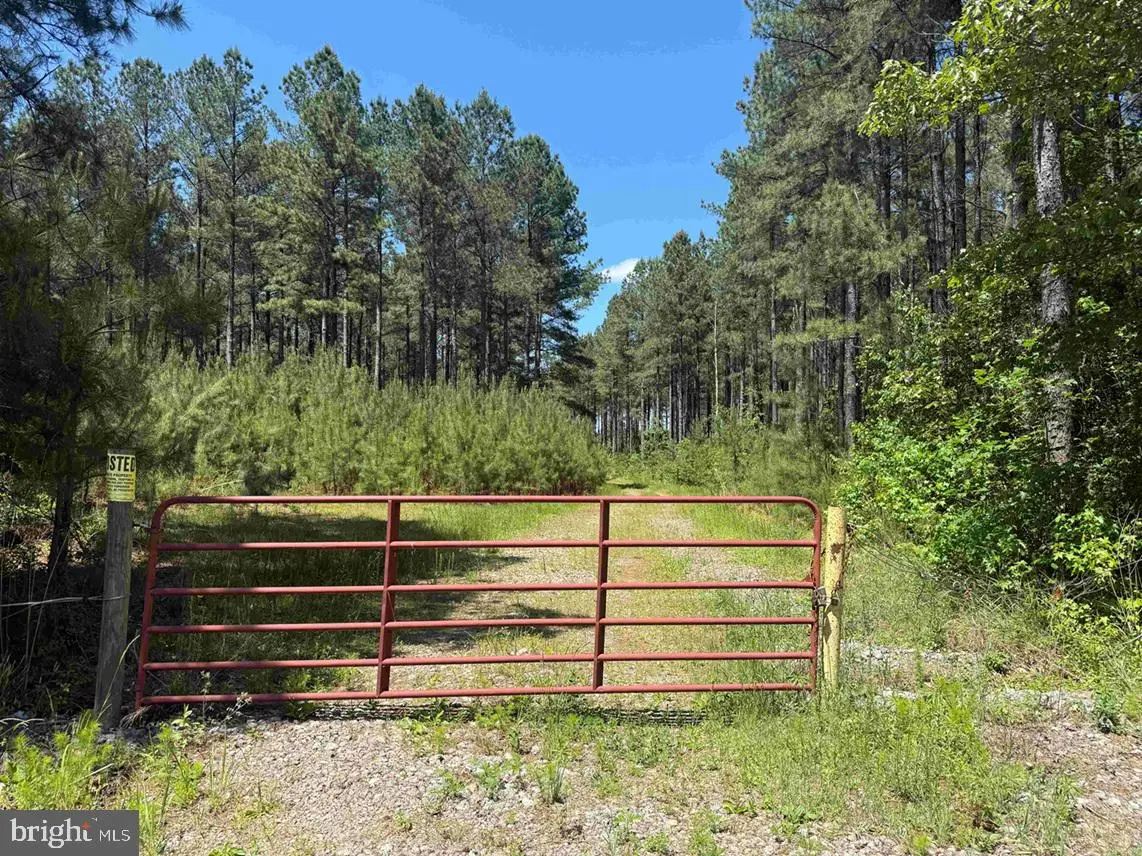 Laurel Springs Road (tract: Surry Dr. Williams-2), Surry, VA 23883 - #1
