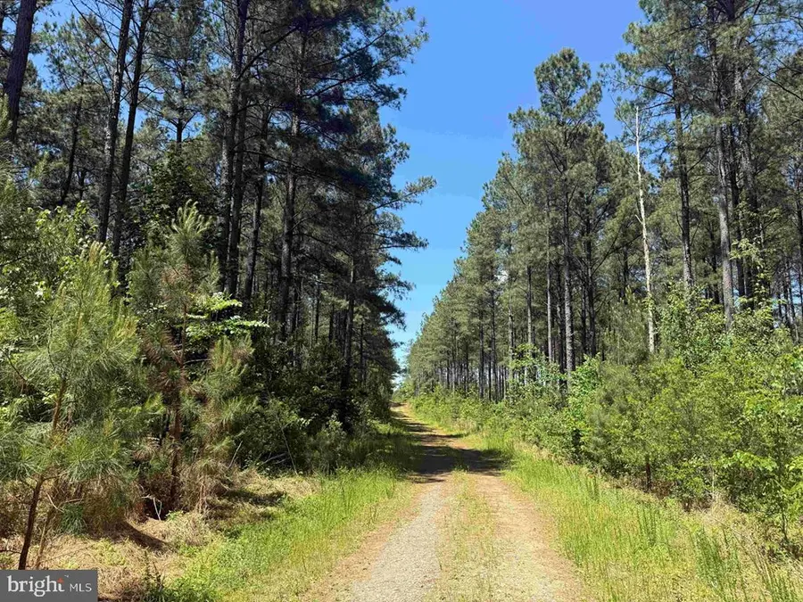 Laurel Springs Road (tract: Surry Dr. Williams-2), Surry, VA 23883 - #2