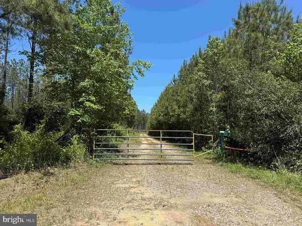 Laurel Springs Road (tract: Dr. Williams-1), SURRY, VA 23883