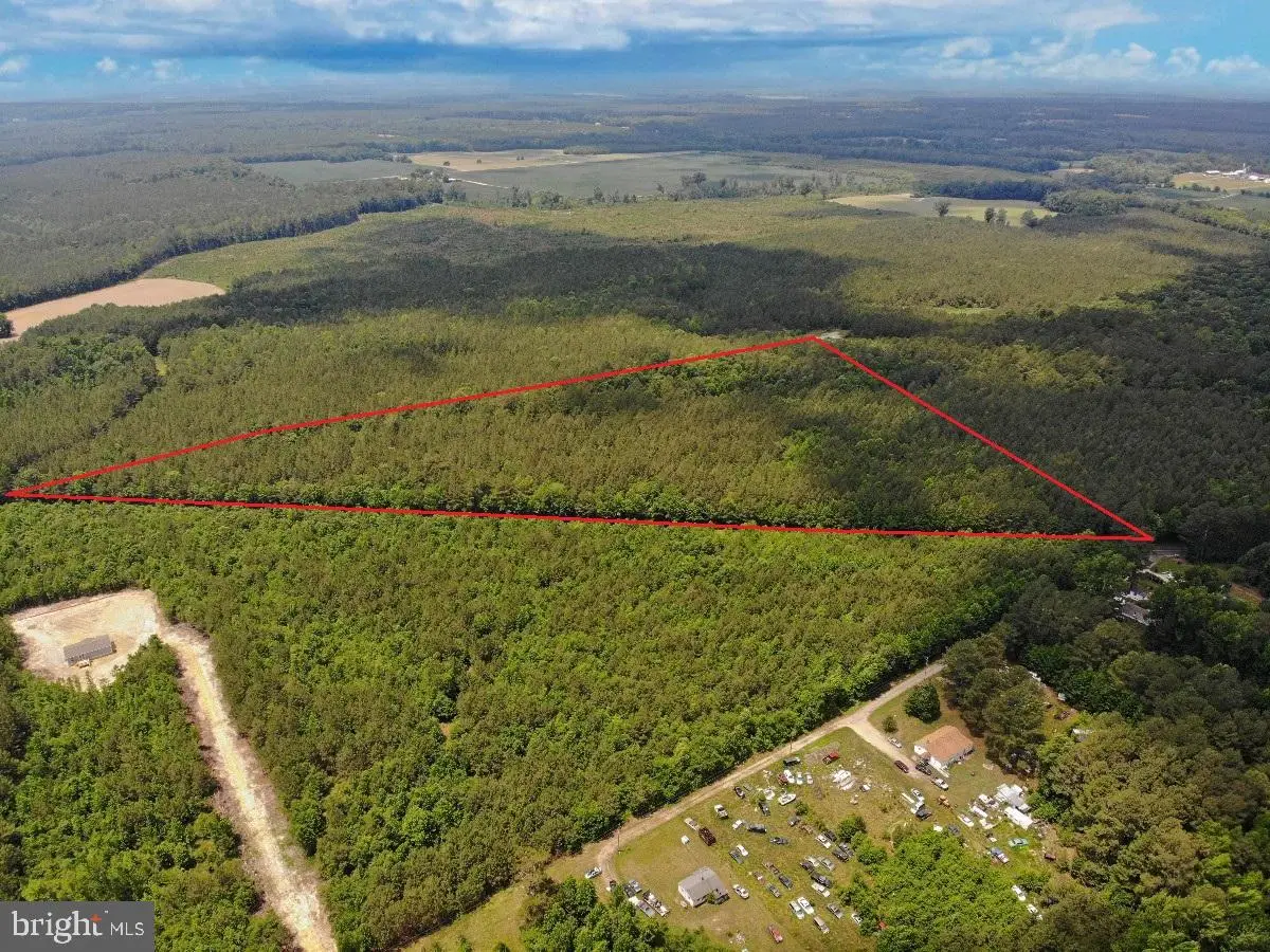 1 Salisbury Rd, Spring Grove, VA 23881 - #1
