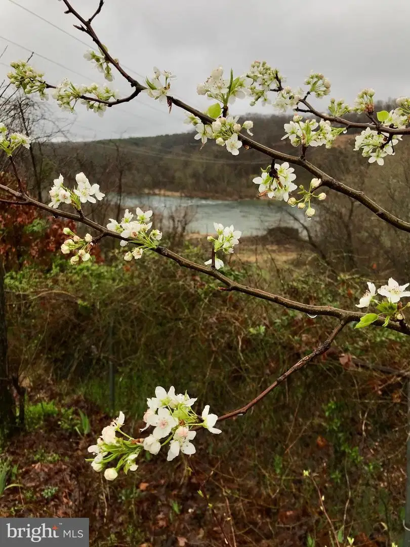 104 Blaisdell Ln, Fredericksburg, VA 22405 - #1