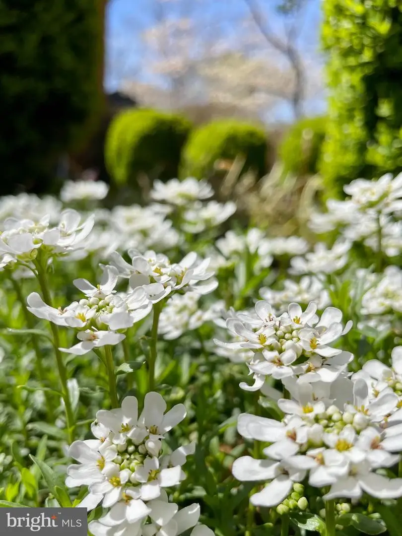 104 Blaisdell Ln, Fredericksburg, VA 22405 - #2