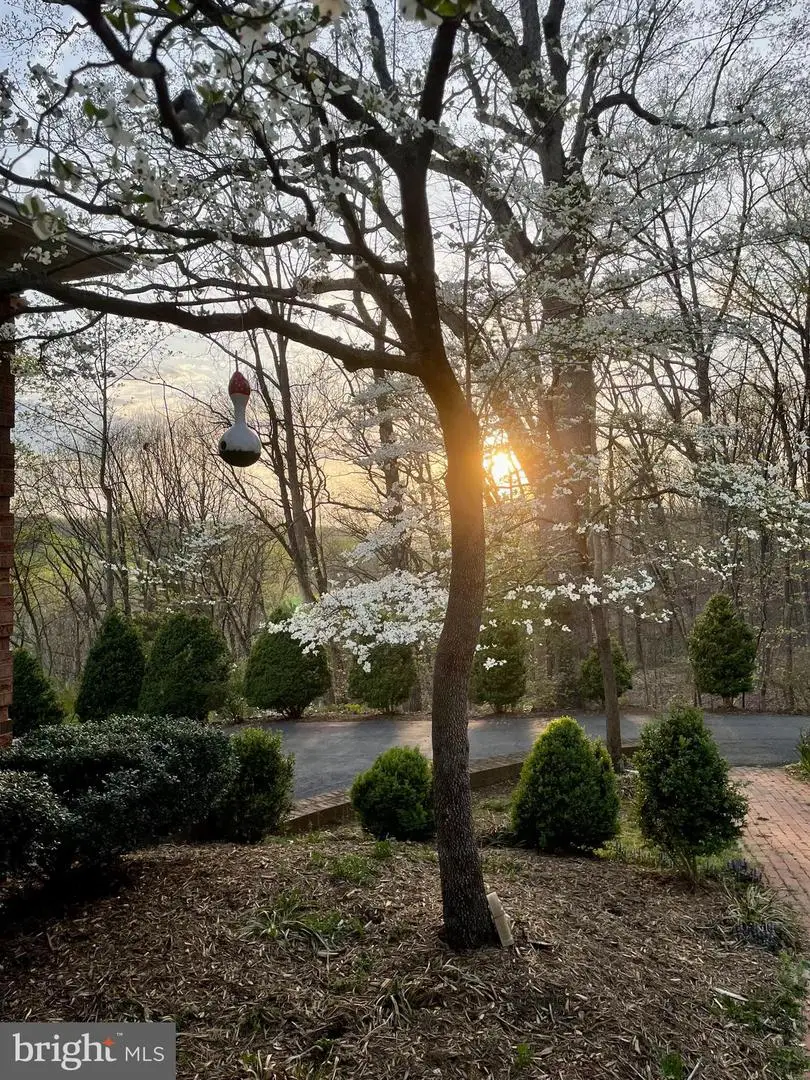 104 Blaisdell Ln, Fredericksburg, VA 22405 - #3