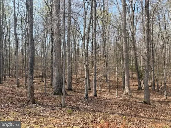 105 Chimney Swift Road, FREDERICKSBURG, VA 22406