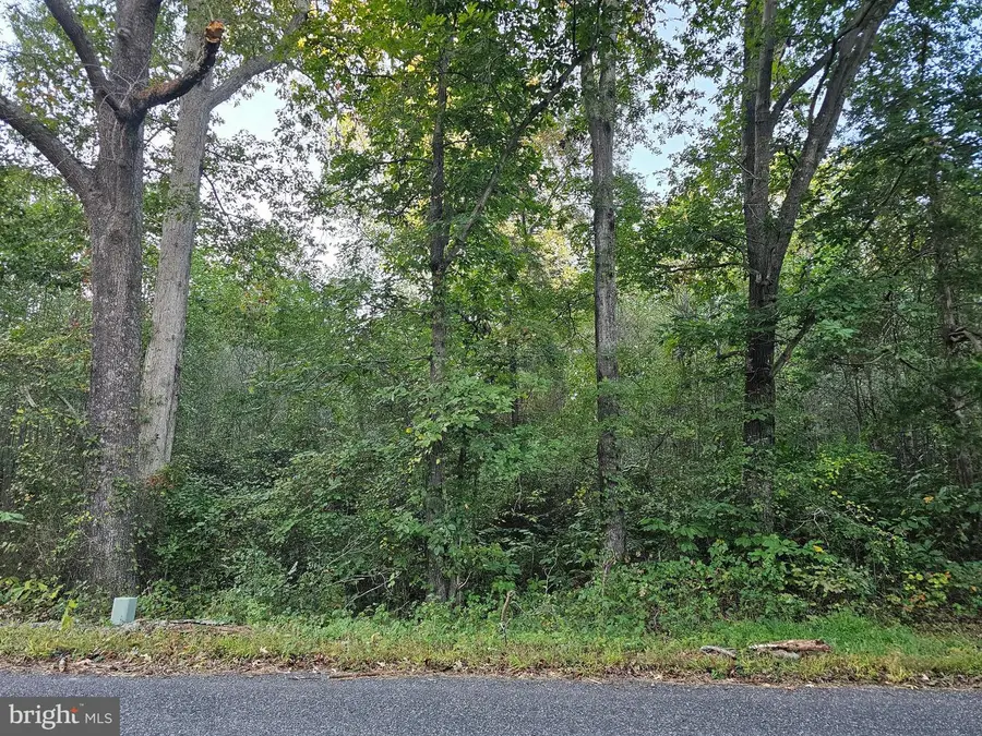 Lot 52 Lowe Dr, Hague, VA 22469 - Image #3