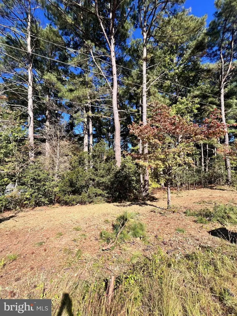 South Glebe Rd, Montross, VA 22520 - Image #2