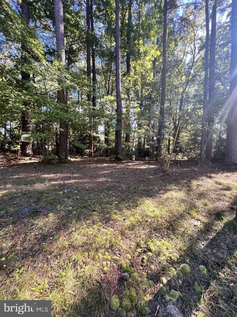 66 Weatherall Dr, Montross, VA 22520 - Image #2