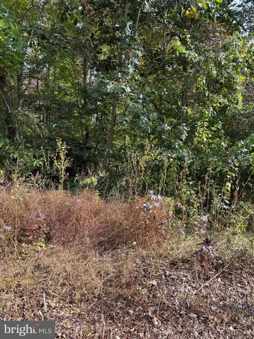 Lot 41 Travellers Circle, Montross, VA 22520 - Image #1