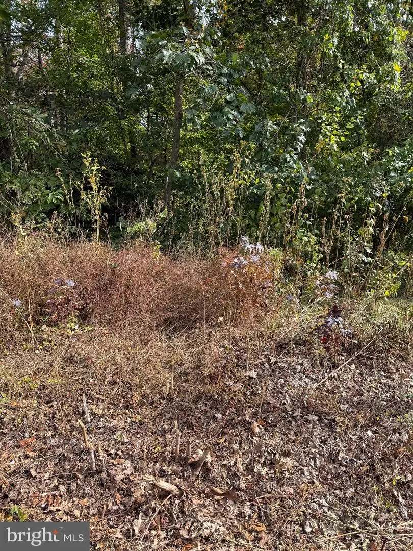 Lot 41 Travellers Circle, Montross, VA 22520 - Image #2