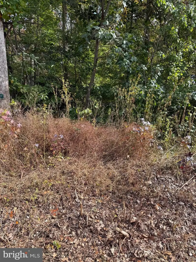 Lot 41 Travellers Circle, Montross, VA 22520 - Image #3